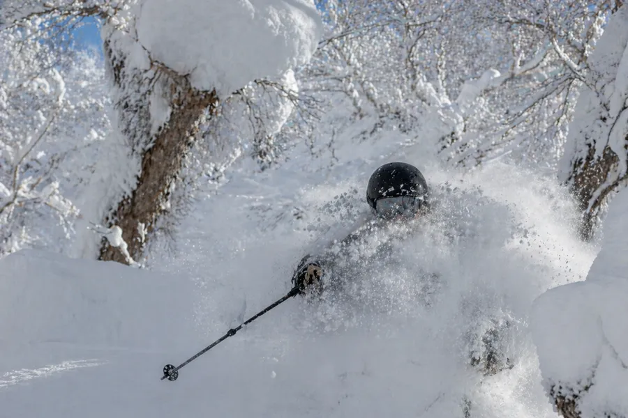 Esquiador en powder profundo entre árboles nevados en Hokkaido Japón