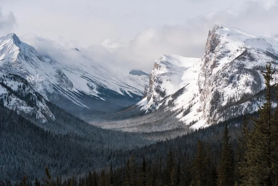 Valle nevado y bosques de Banff en las Montañas Rocosas canadienses