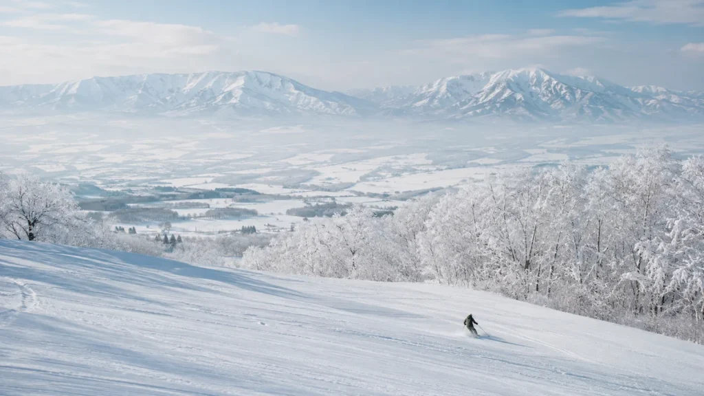 Esquiador solitario en una ladera amplia de Furano con árboles cubiertos de nieve y paisaje sereno de Hokkaido