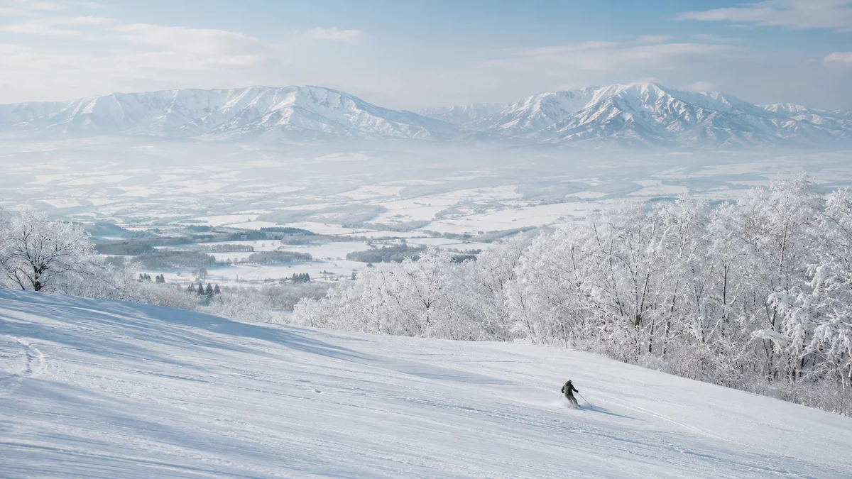 Esquiador solitario en una ladera amplia de Furano con árboles cubiertos de nieve y paisaje sereno de Hokkaido