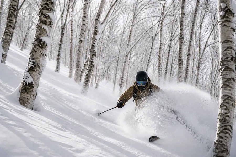 Esquiador descendiendo en nieve polvo entre árboles en Hakuba, Japón