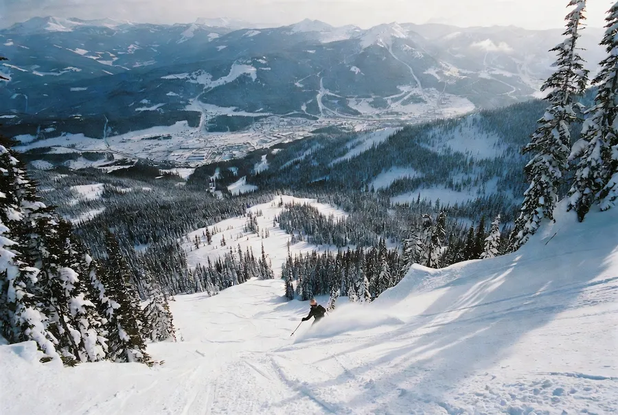 esquiador descendiendo una larga línea en Revelstoke con gran desnivel y bosque nevado