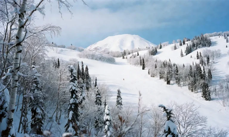 Esquiador entre árboles en el dominio silencioso de Rusutsu con powder fresco en Hokkaido, Japón