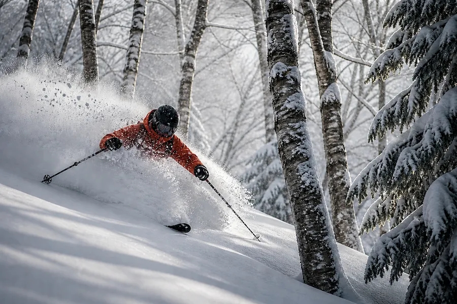 Esquiador en nieve polvo entre árboles en Rusutsu, con el estilo característico del esquí en Japón