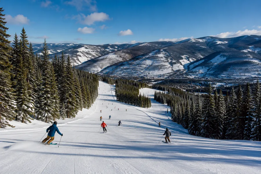Amplias pistas de esquí entre bosques en Vail Colorado