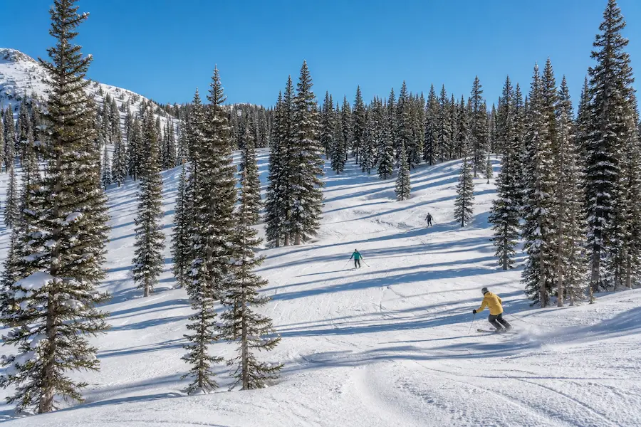 Esquiadores descendiendo entre árboles en Vail con nieve seca y luz clara